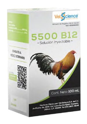 5500 B12