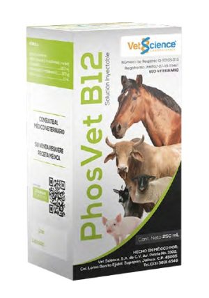 PhosVet B12
